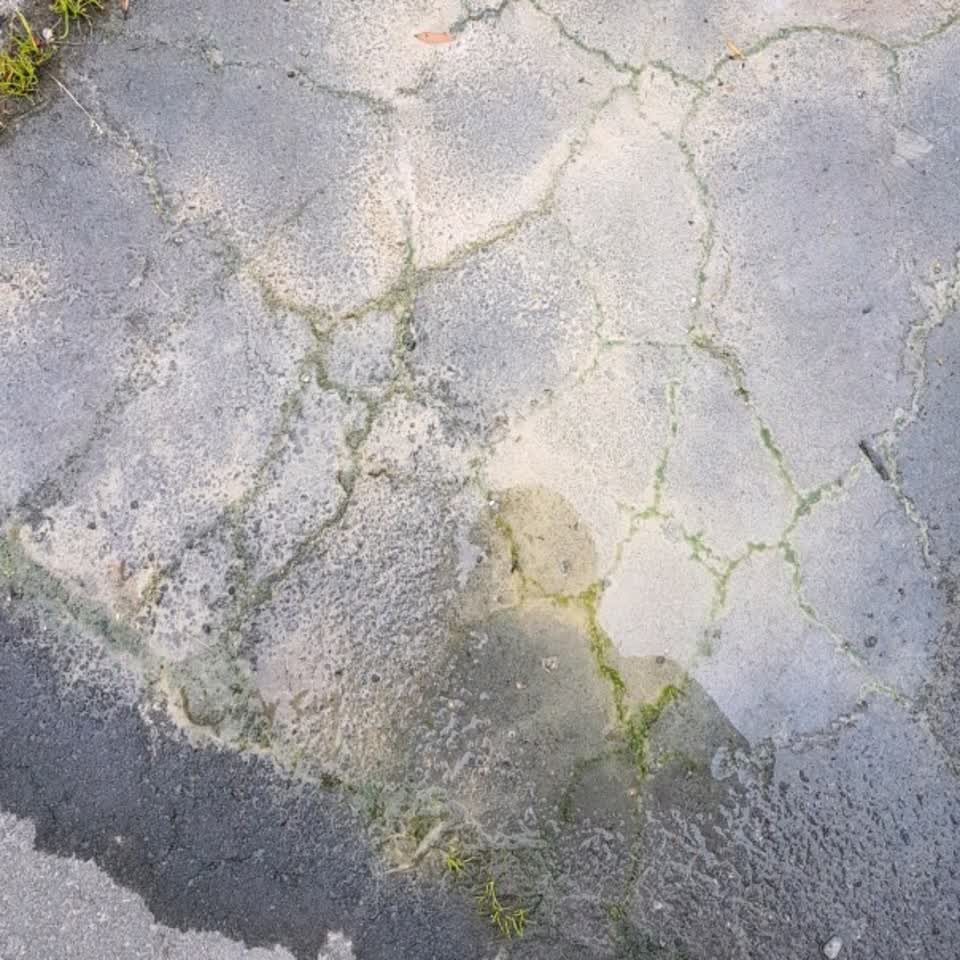 The photograph attached to this water supply report