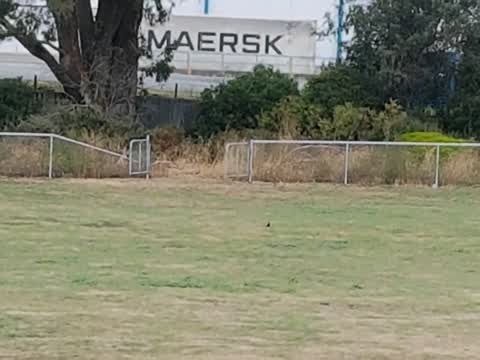 Parks, a report photo