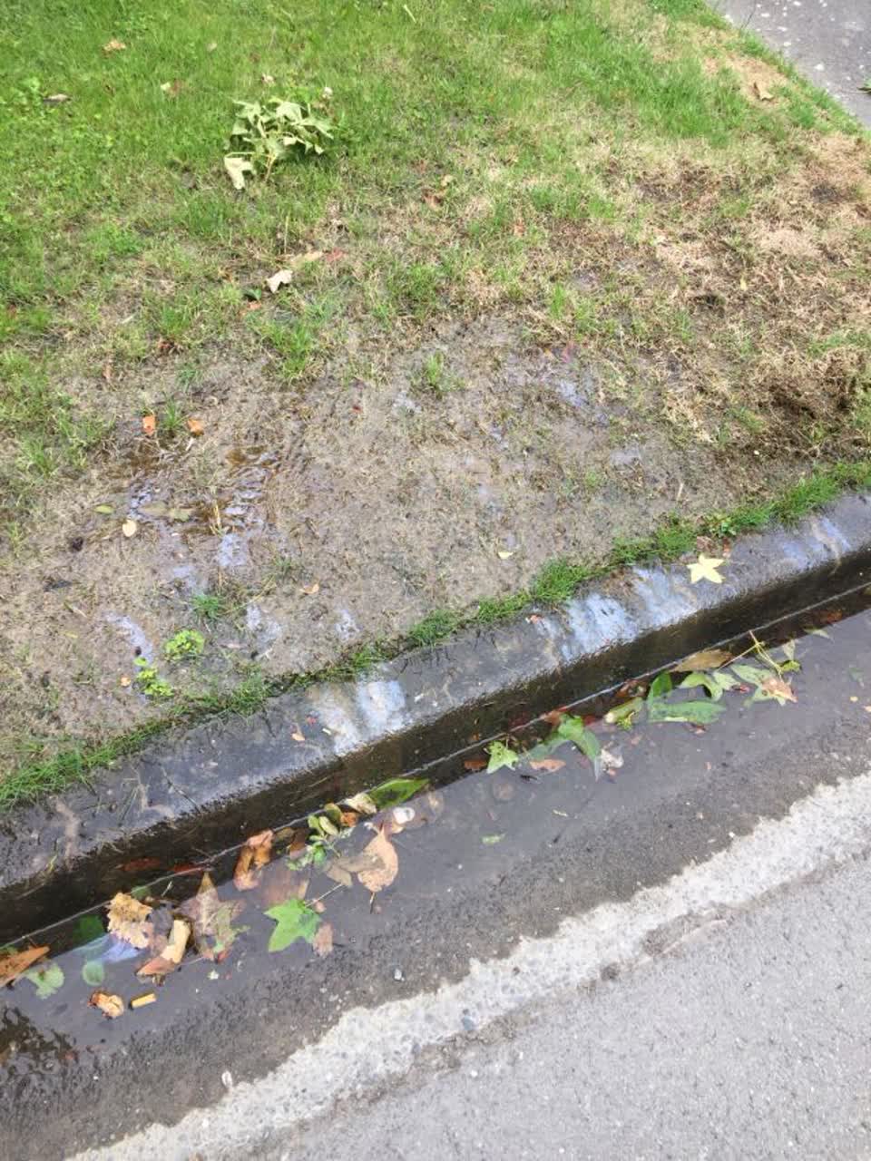 The photograph attached to this water supply report