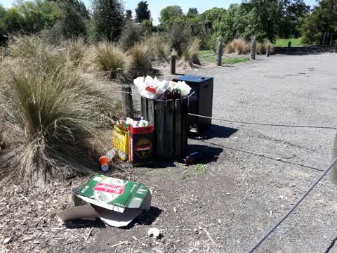 Parks — a report photo