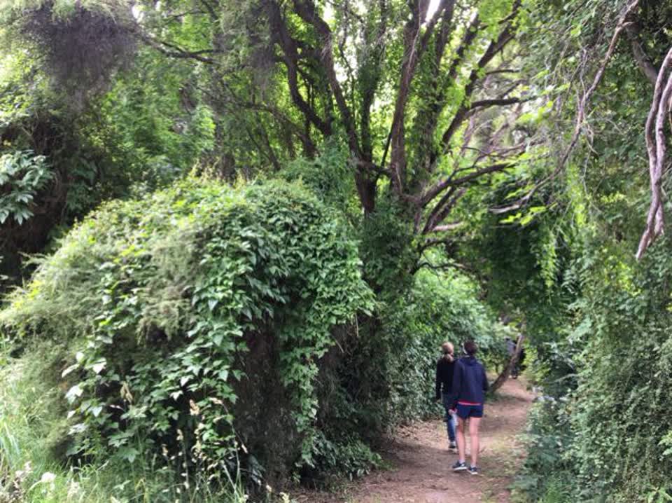 The photograph attached to this parks report