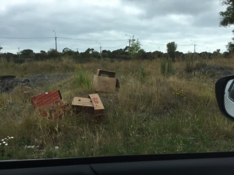 The photograph attached to this rubbish/recycling report