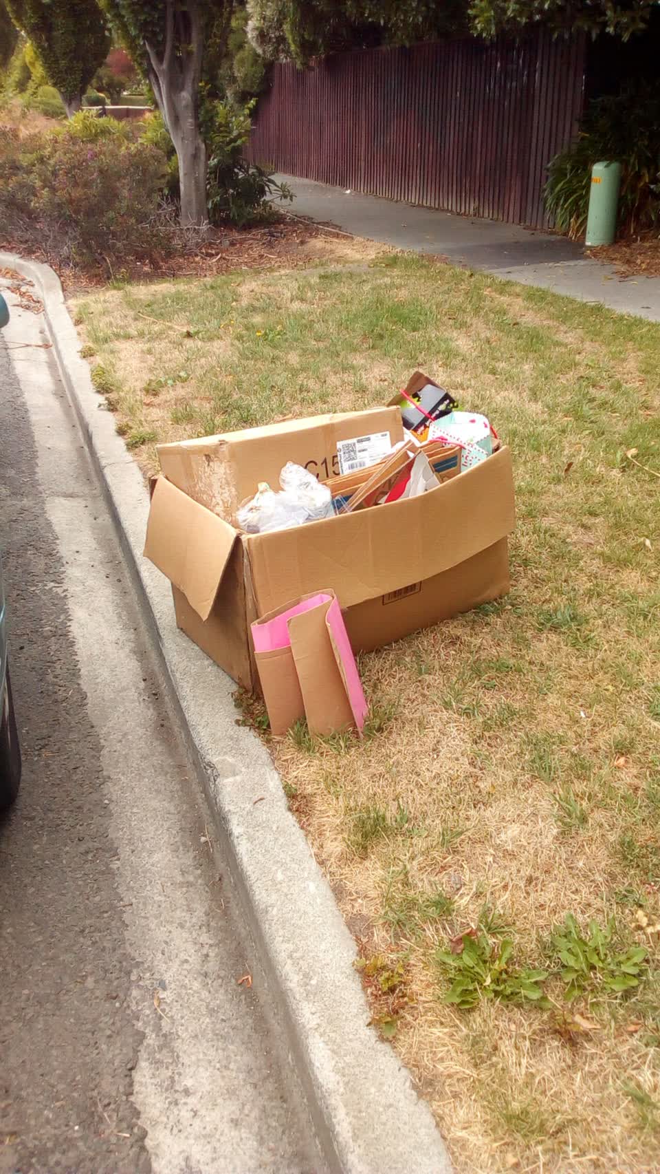 The photograph attached to this rubbish/recycling report