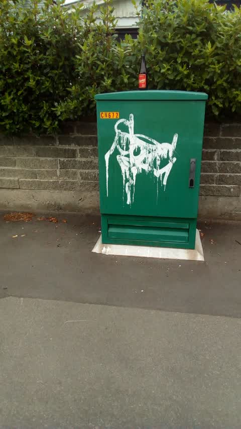 Graffiti, a report photo