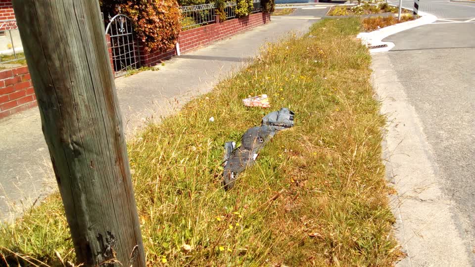 The photograph attached to this rubbish/recycling report