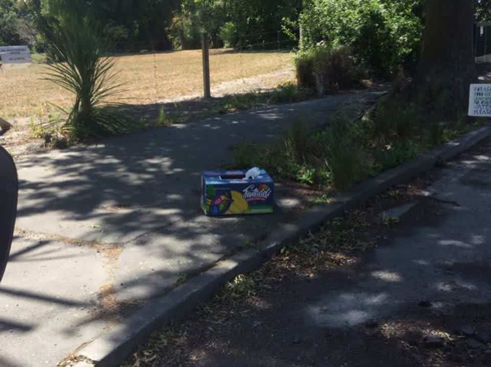 The photograph attached to this rubbish/recycling report