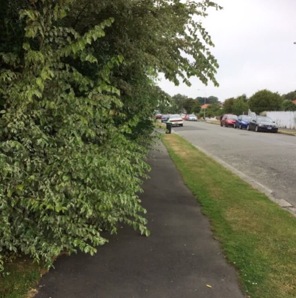 The photograph attached to this roading/streets report