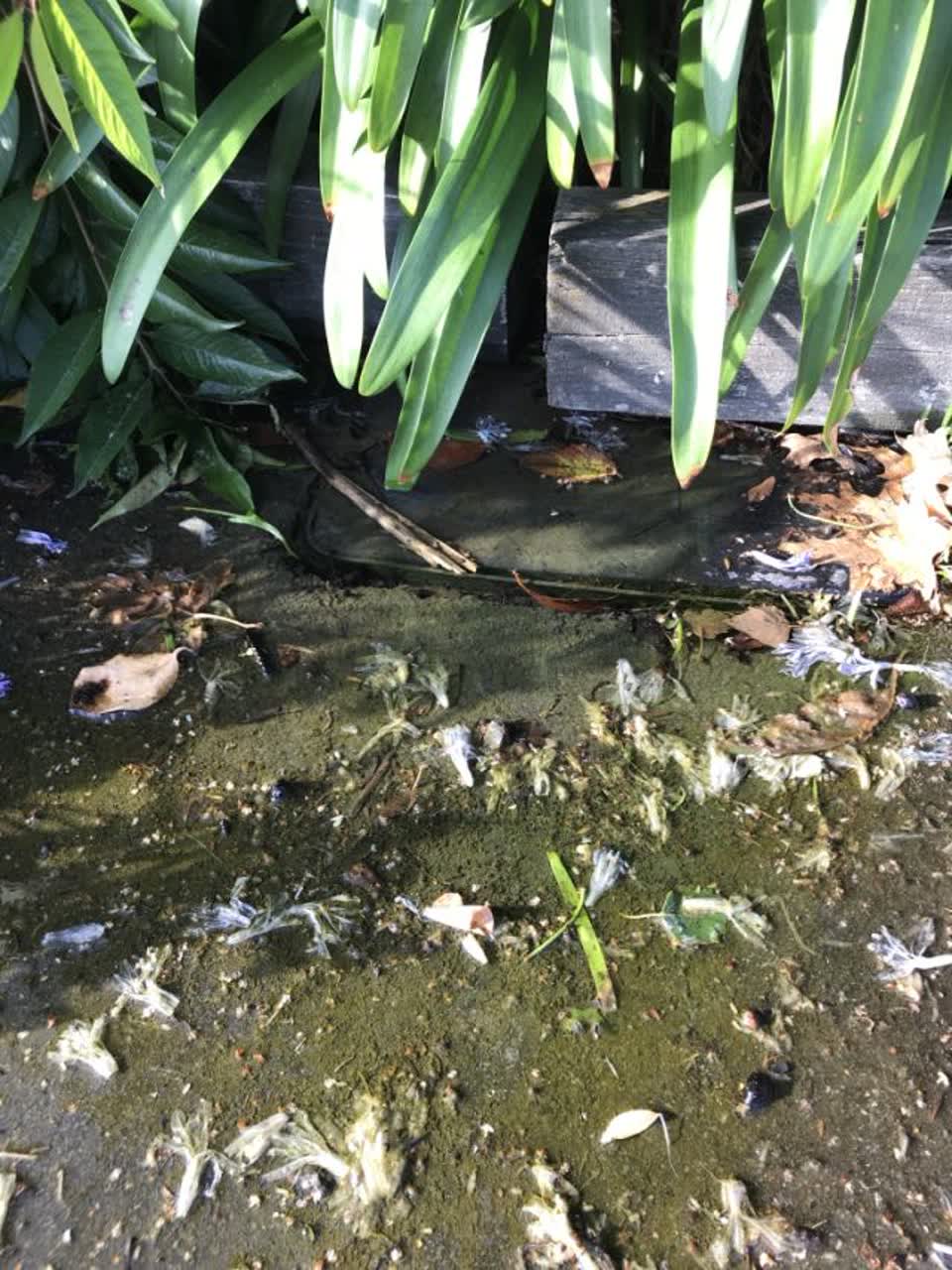 The photograph attached to this water supply report