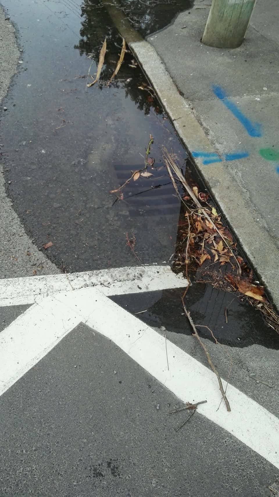 The photograph attached to this wastewater/stormwater report
