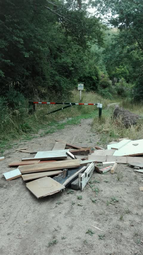 Rubbish/Recycling, a report photo