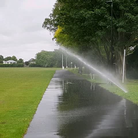 Parks, a report photo