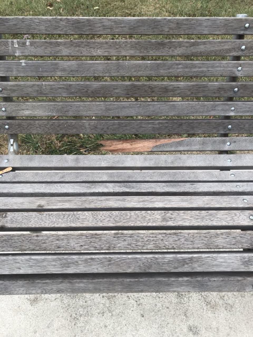 The photograph attached to this parks report