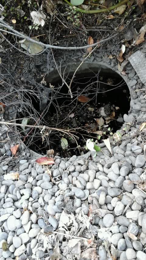 Wastewater/Stormwater, a report photo