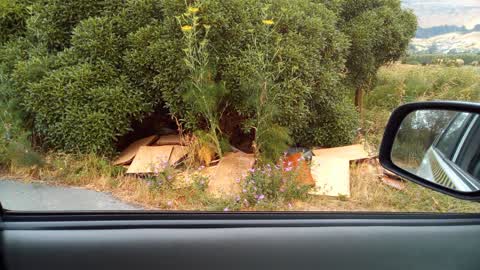 Rubbish/Recycling, a report photo