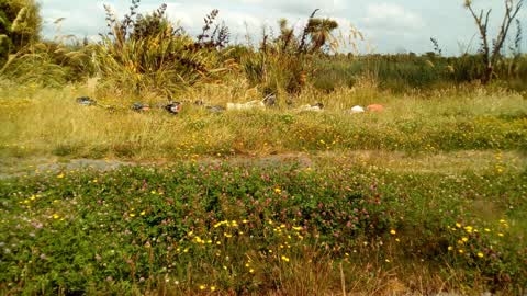 Rubbish/Recycling, a report photo