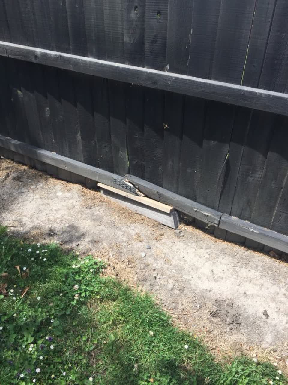 The photograph attached to this parks report