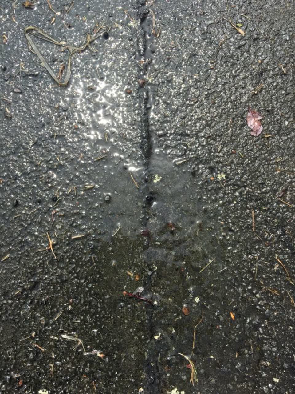 The photograph attached to this water supply report