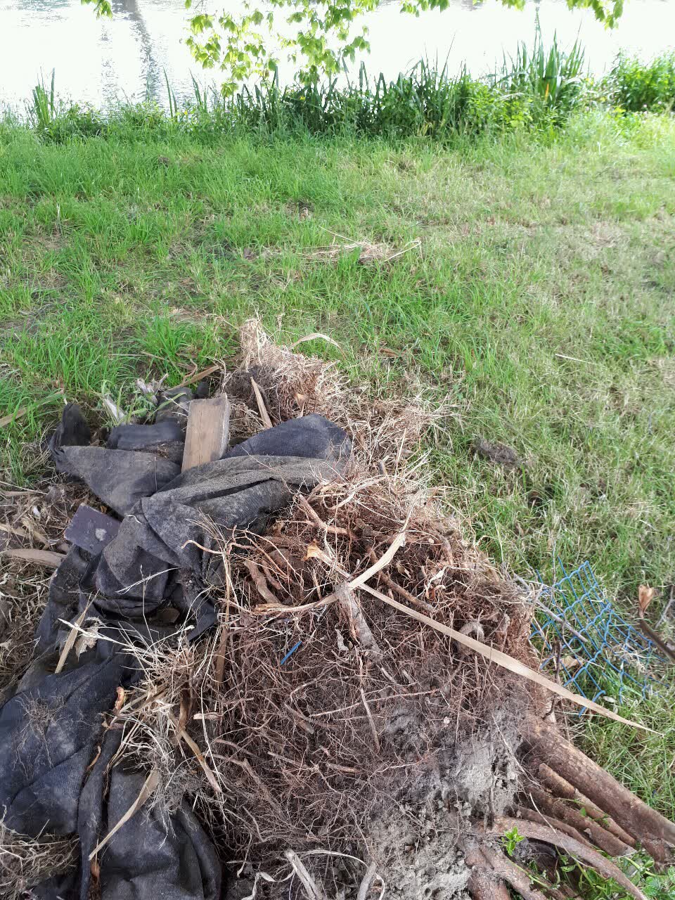 The photograph attached to this rubbish/recycling report