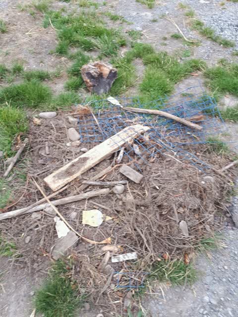 Rubbish/Recycling — a report photo