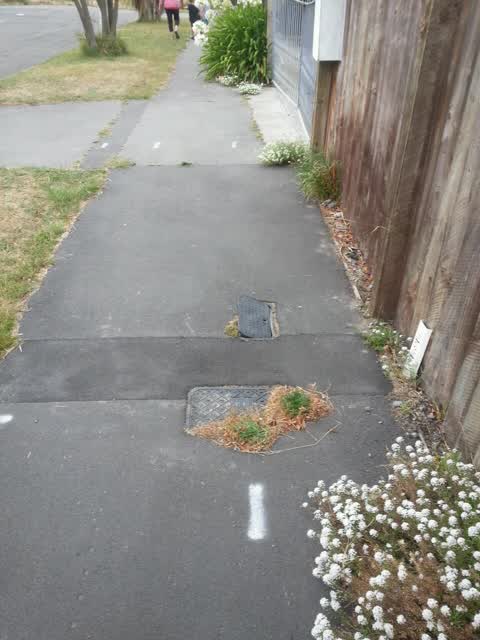 Roading/Streets, a report photo