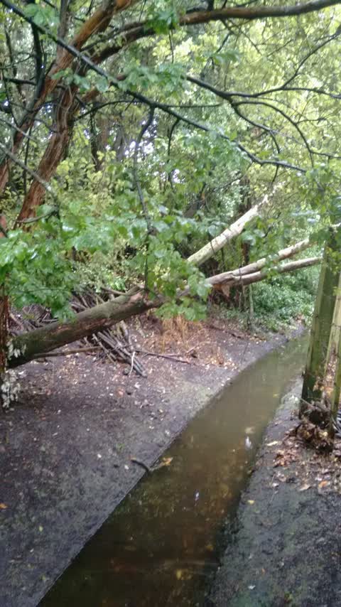 Wastewater/Stormwater, a report photo