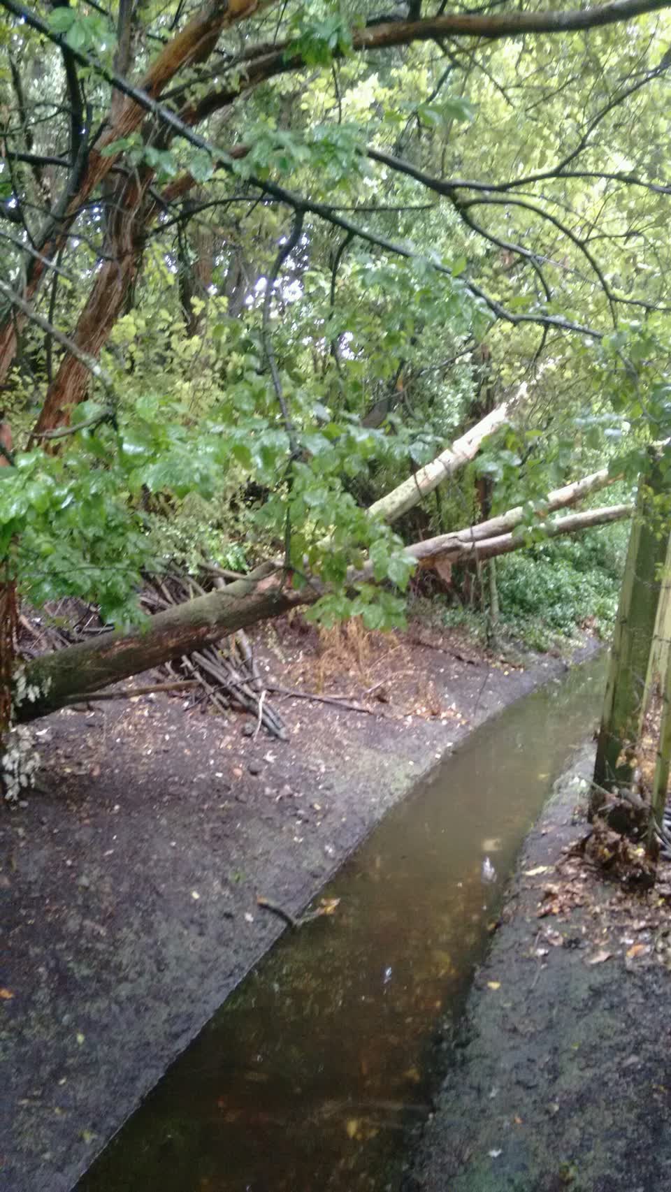 The photograph attached to this wastewater/stormwater report