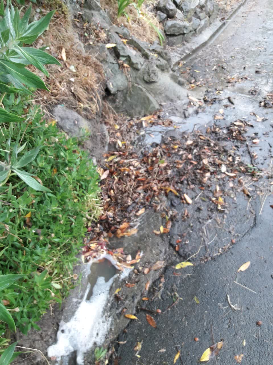 The photograph attached to this wastewater/stormwater report