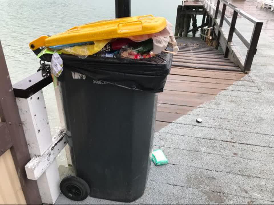 The photograph attached to this parks report