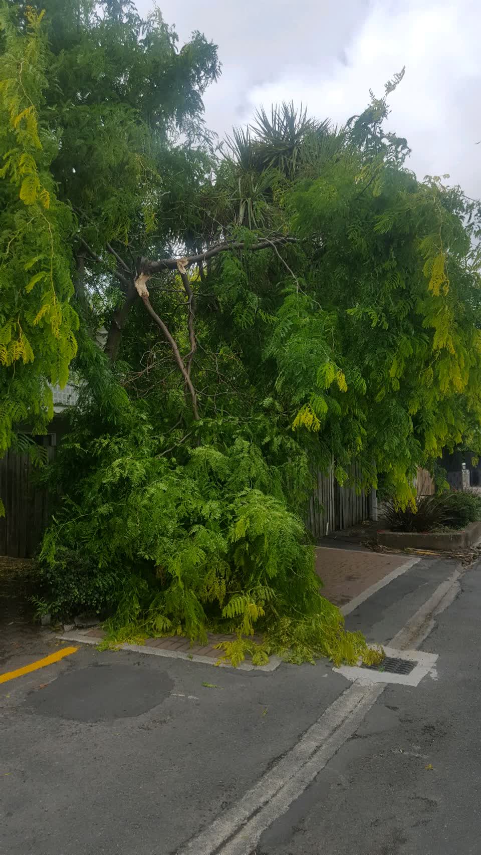 The photograph attached to this roading/streets report