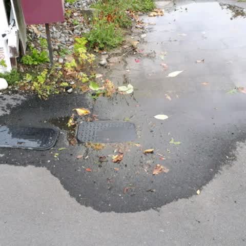 Water Supply, a report photo