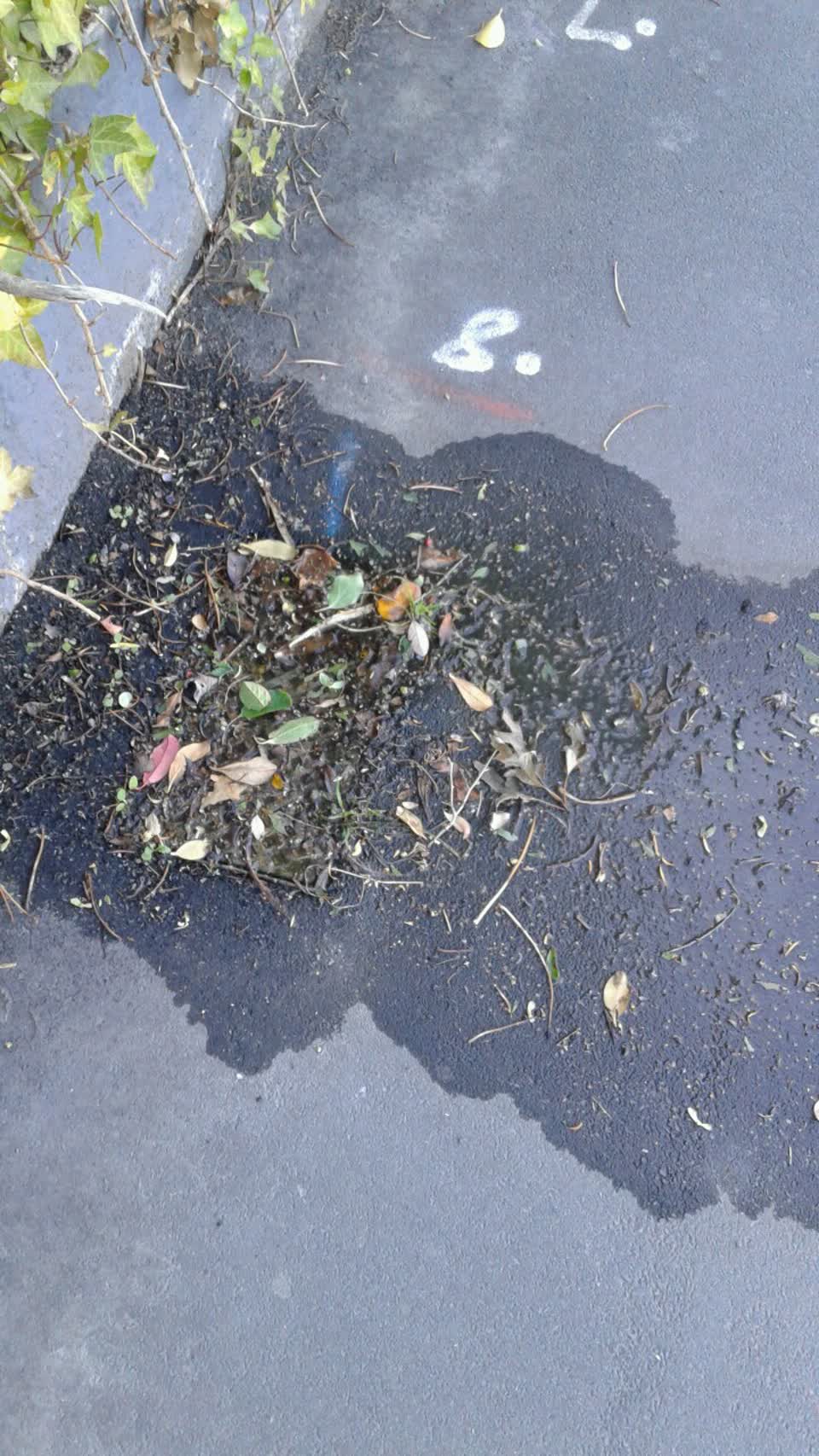 The photograph attached to this water supply report