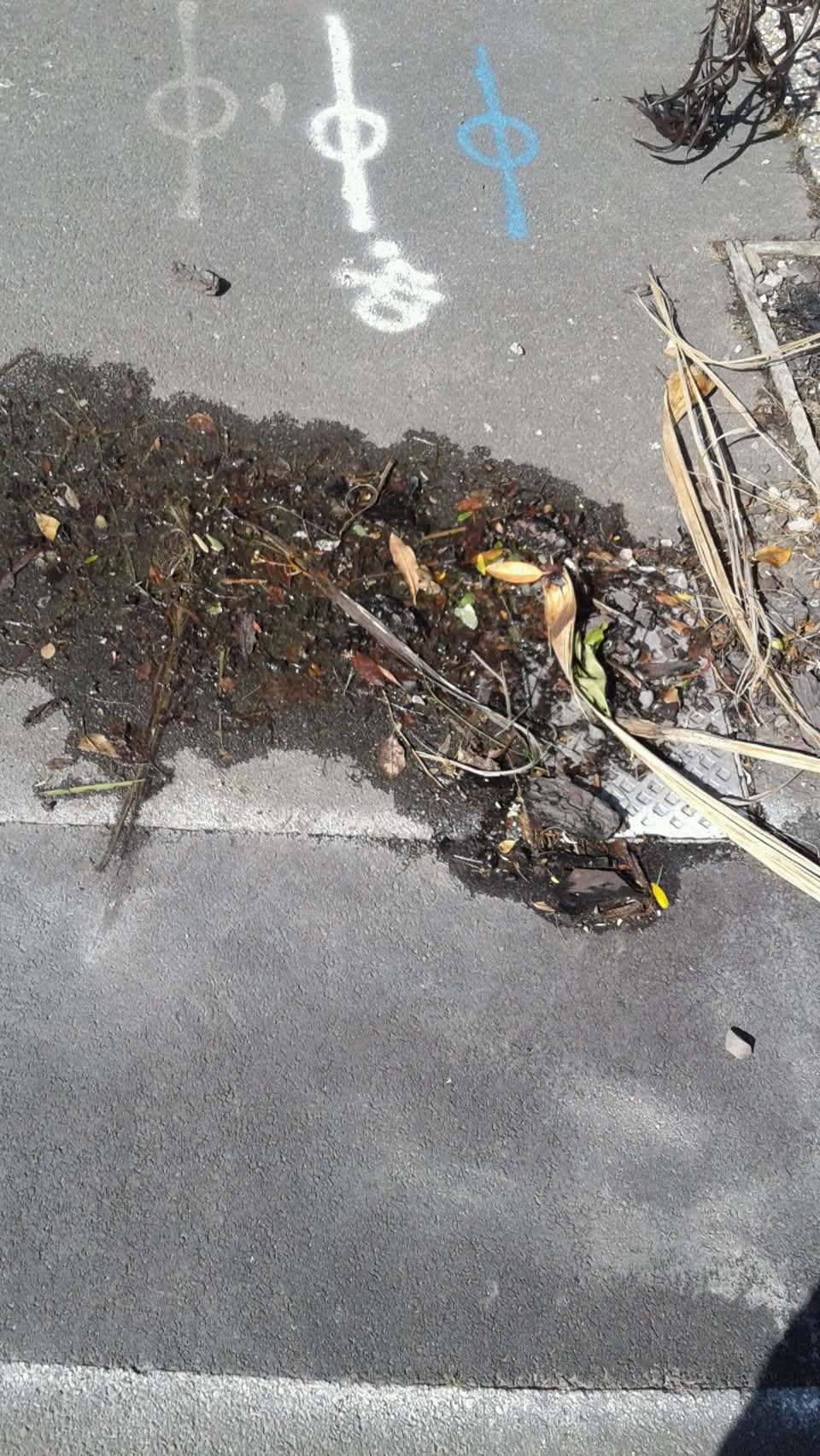 The photograph attached to this water supply report