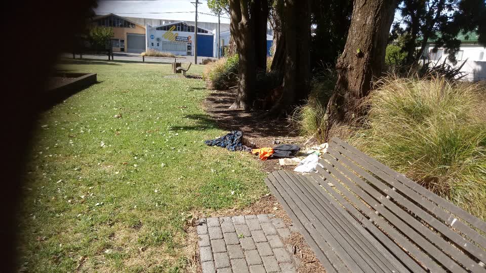 The photograph attached to this parks report