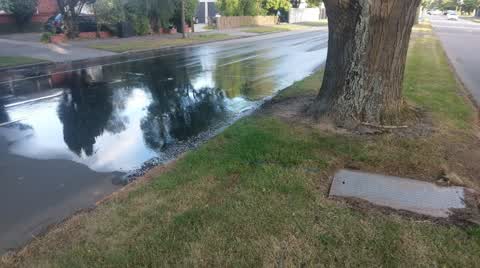 Water Supply, a report photo
