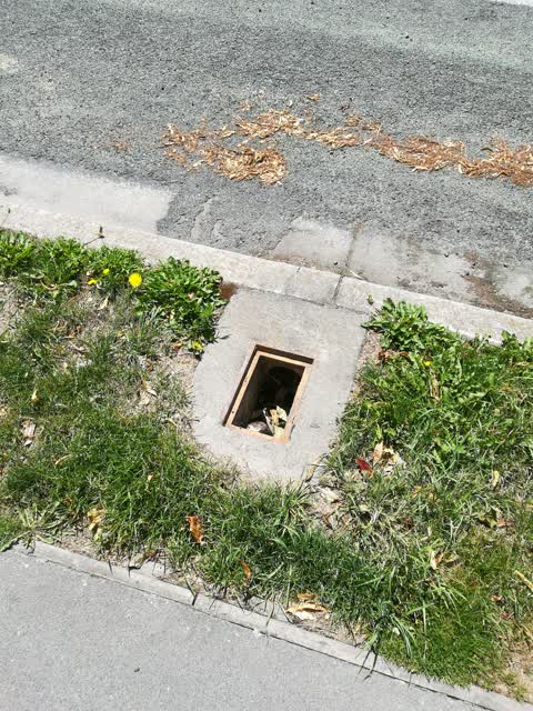 Roading/Streets, a report photo