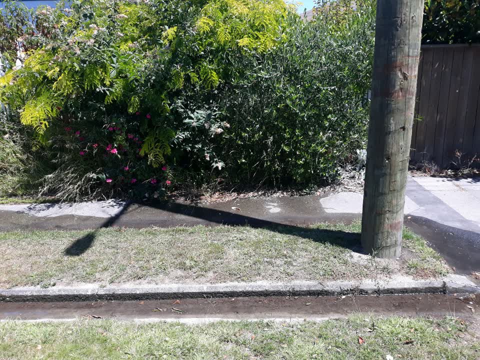 The photograph attached to this water supply report