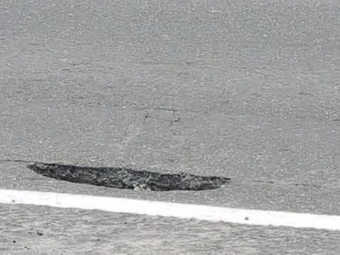 Roading/Streets, a report photo