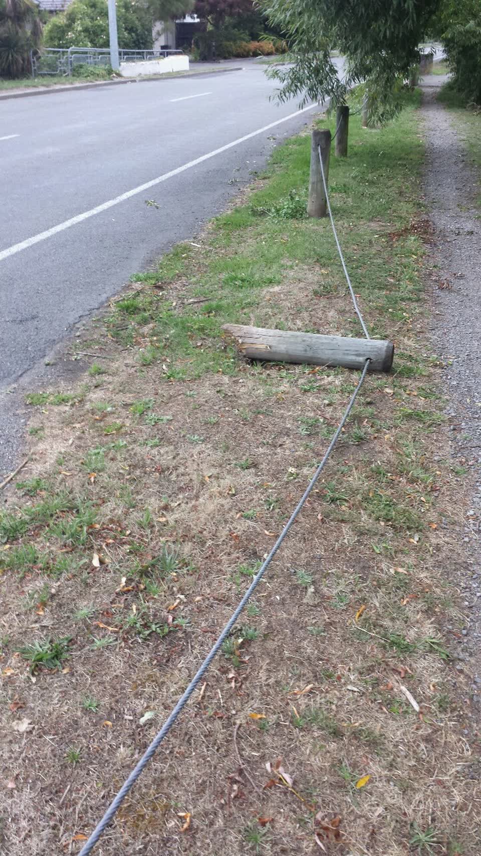 The photograph attached to this parks report
