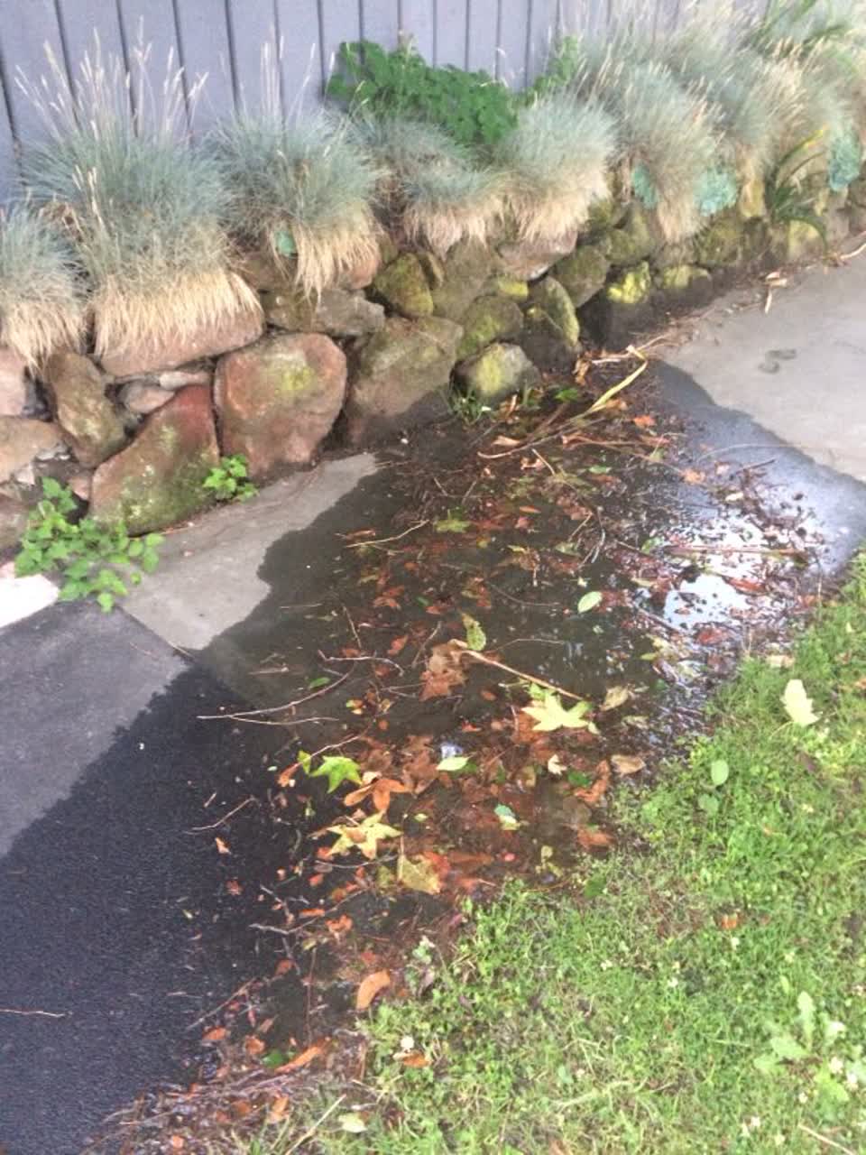 The photograph attached to this water supply report