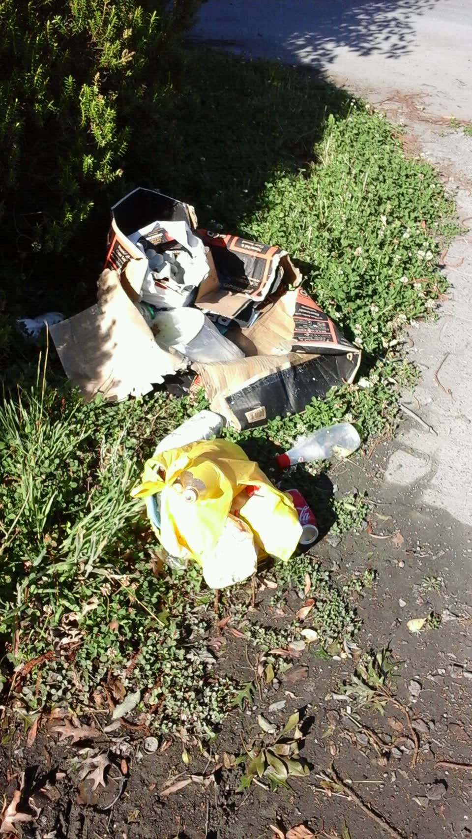The photograph attached to this rubbish/recycling report