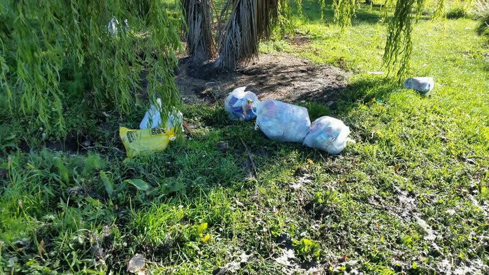 The photograph attached to this rubbish/recycling report
