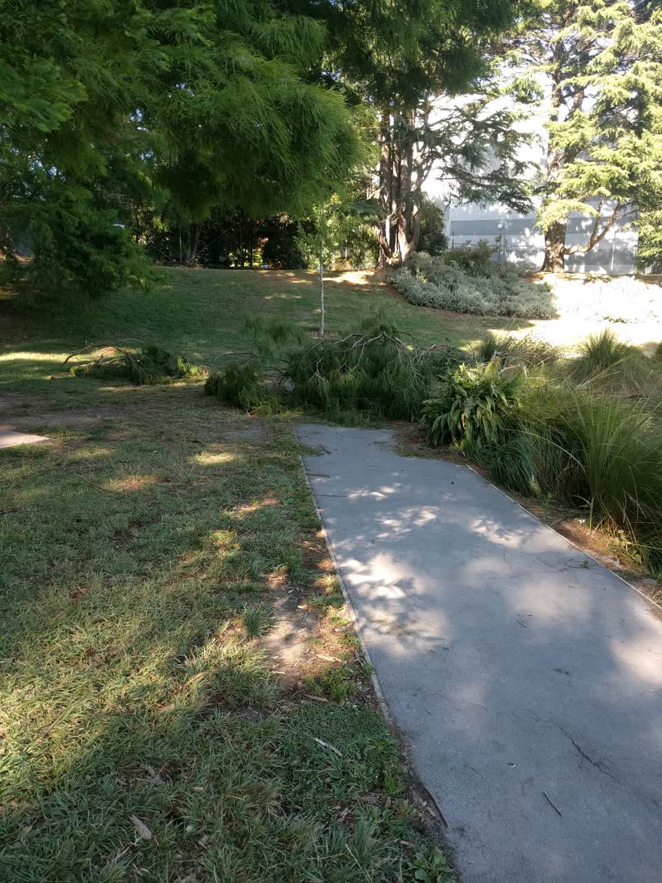 The photograph attached to this parks report