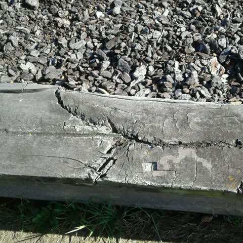 Parks, a report photo