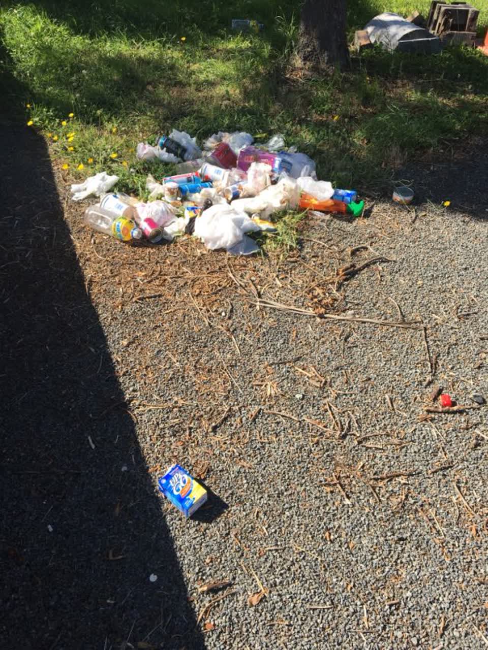 The photograph attached to this rubbish/recycling report