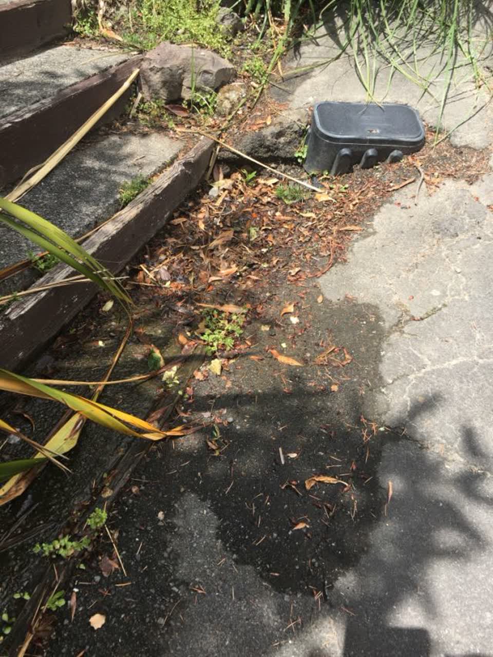 The photograph attached to this water supply report