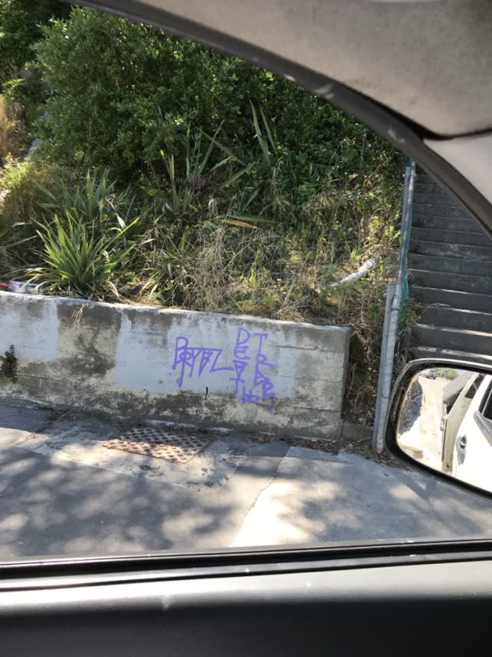The photograph attached to this graffiti report