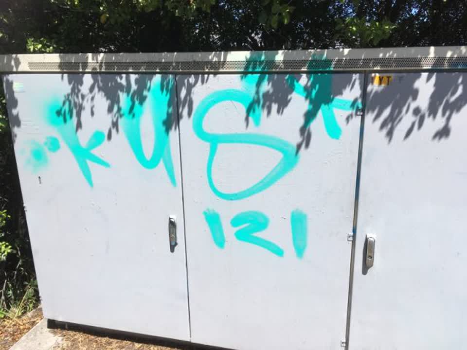 The photograph attached to this graffiti report