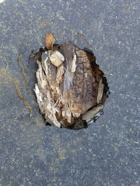 Roading/Streets, a report photo