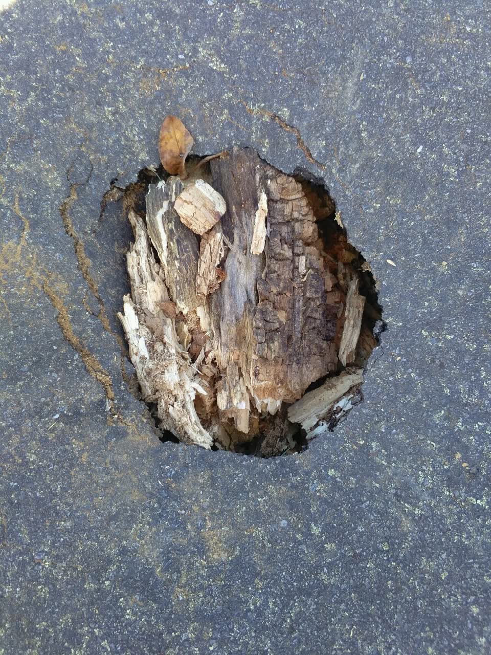 The photograph attached to this roading/streets report