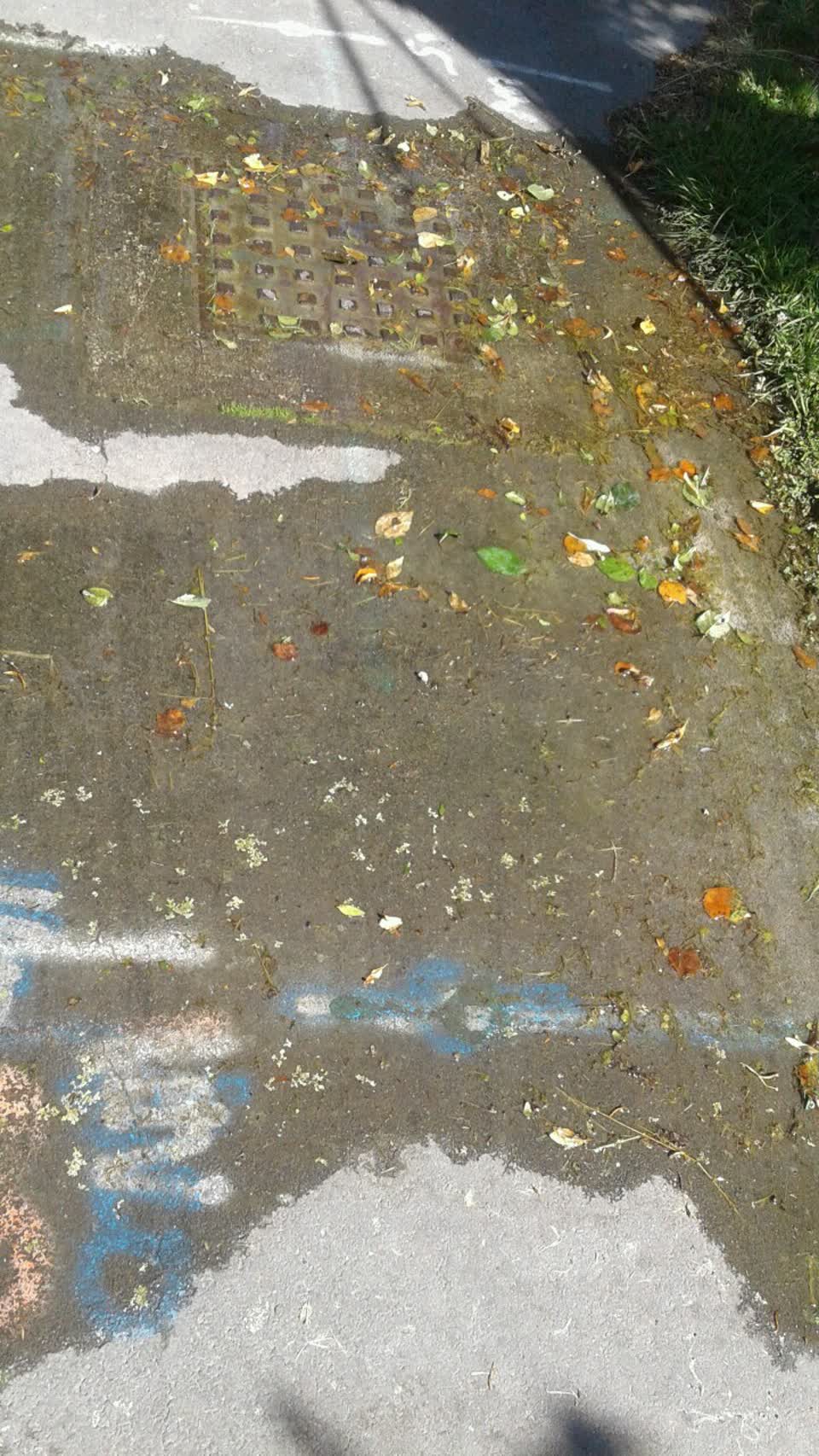 The photograph attached to this water supply report